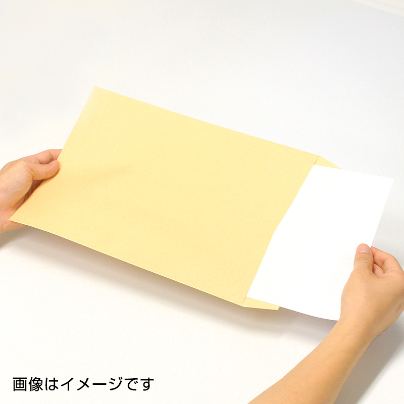 角20封筒 パステルグリーン100g/1色刷り